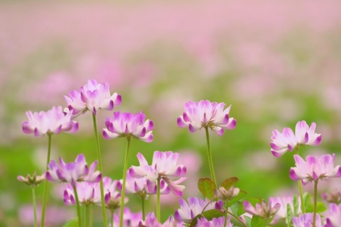 d2fb32abd515a2eadc5b84d2e0c56e30_s